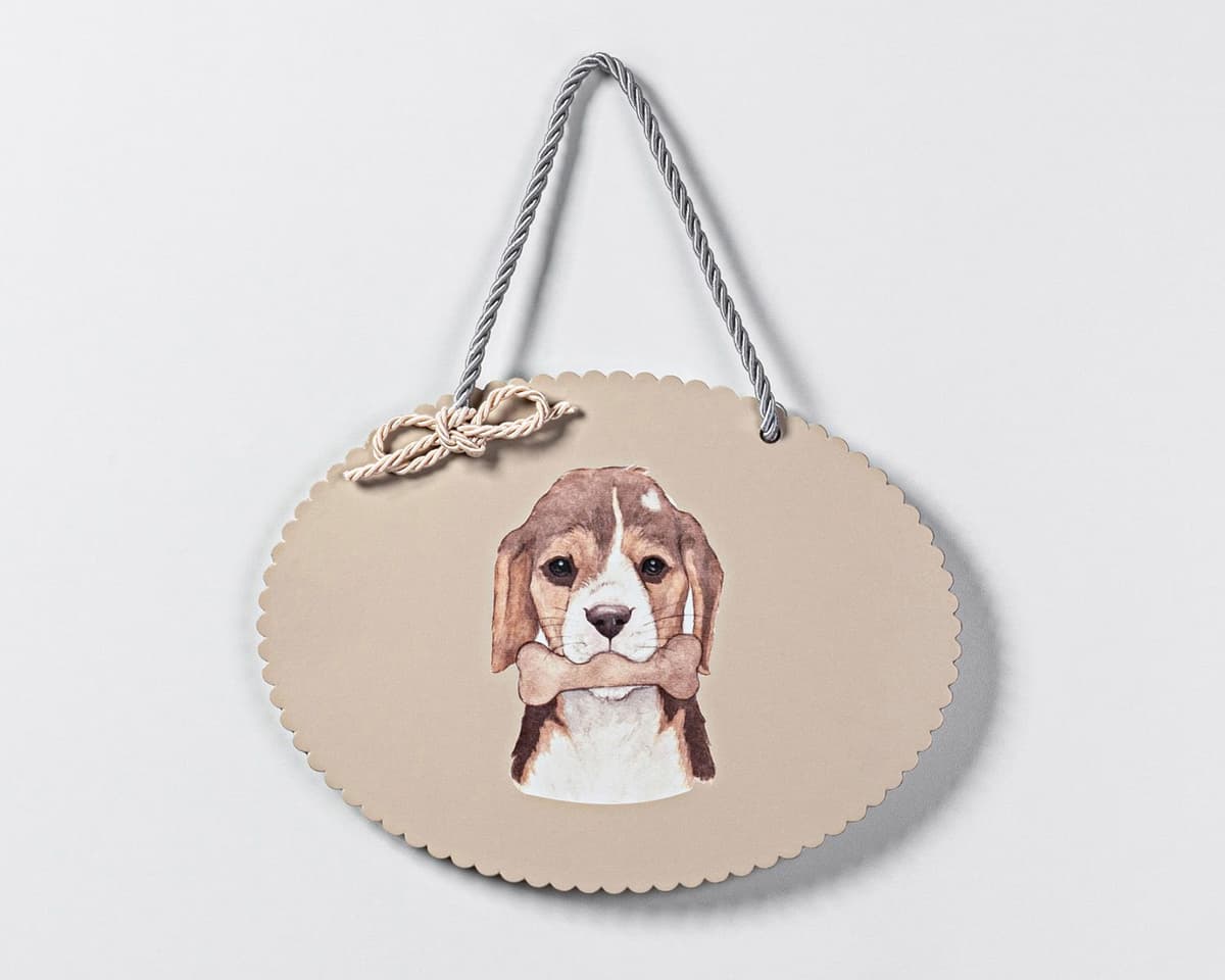 https://gdg-images.s3.sa-east-1.amazonaws.com/fotos/127743/placa-nuvem-m-beagle-c-laco-287536.jpg