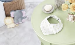 https://gdg-images.s3.sa-east-1.amazonaws.com/fotos/97361/babador-bandana-verde-poa-224788.jpg