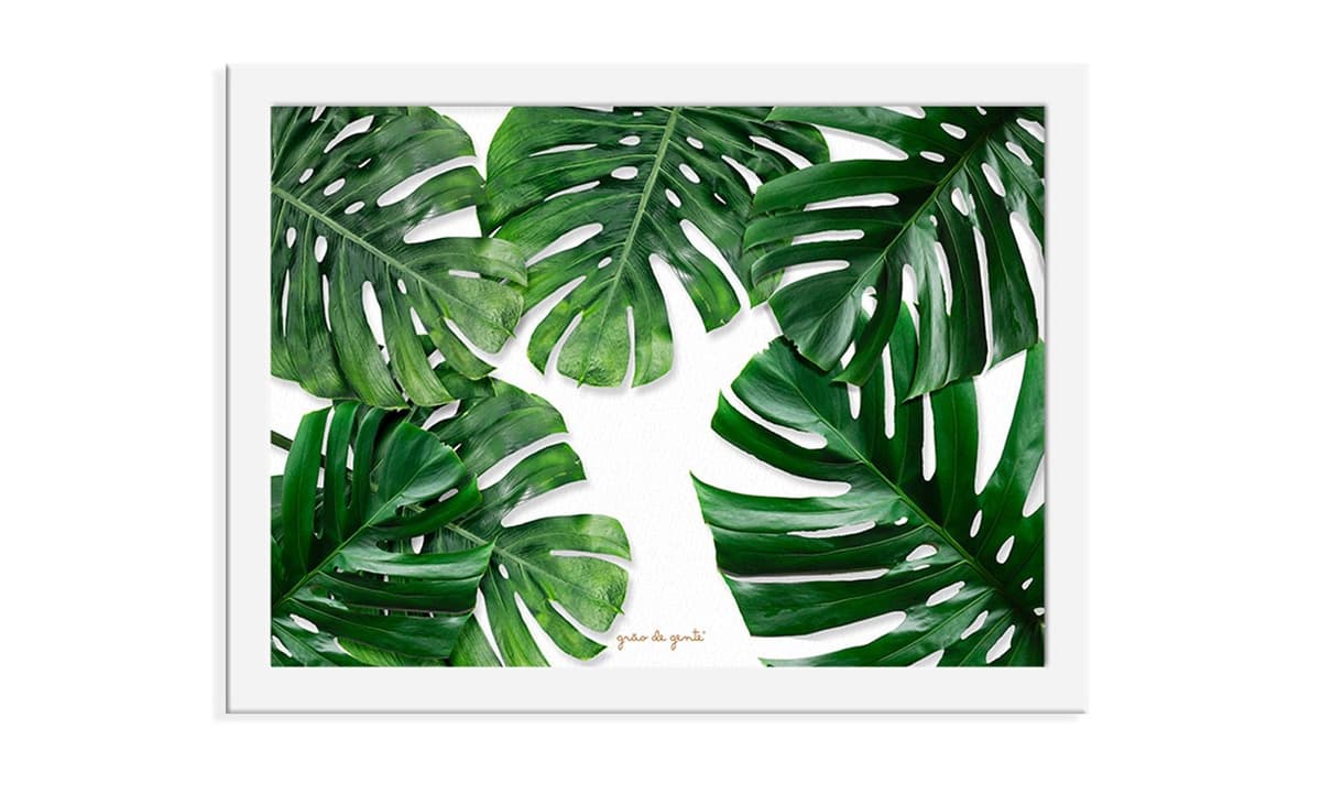 https://gdg-images.s3.sa-east-1.amazonaws.com/fotos/136937/quadro-folhagem-costela-de-adao-33cm-294006.jpg