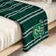 Manta Infantil Solteiro Harry Potter Sonserina 1,20M - imagem 2