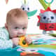 Tapete de Atividades Gymini Sunny Day Meadow - imagem 3