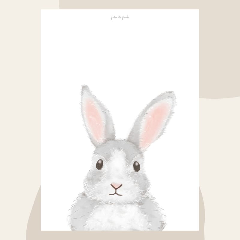 Pôster Adesivo Coelho